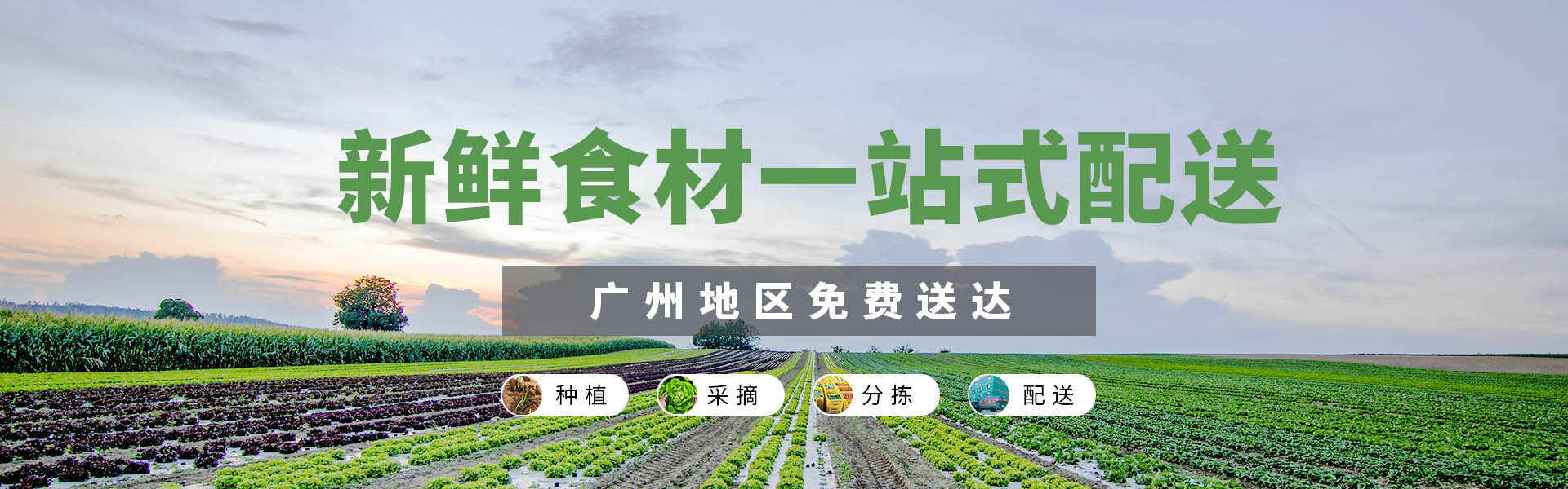 乐鱼体育登录入口