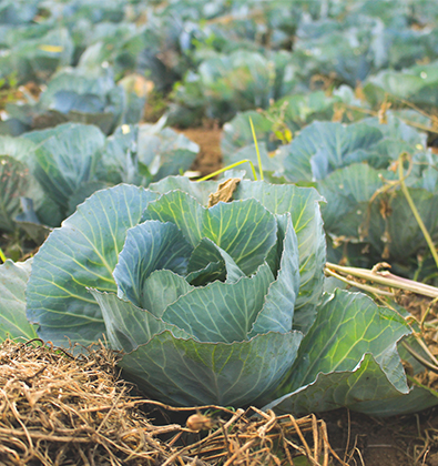 乐鱼体育登录入口:重磅启幕▷蜀山区晶宫山水拾光项目售楼处官方发布丨人居价值新标杆